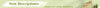 3-in-1 AI Translator Earbuds 144 Languages Instant Translator